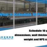 Schedule 10