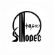 2.中石化