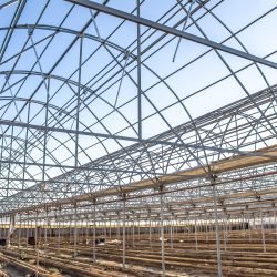 Greenhouse